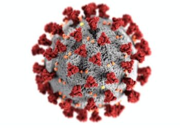 Por que a Covid-19 pode se tornar endêmica no Brasil, como dengue e gripe