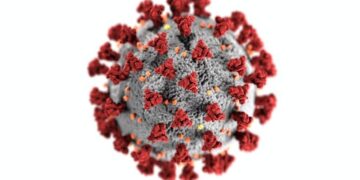 Por que a Covid-19 pode se tornar endêmica no Brasil, como dengue e gripe