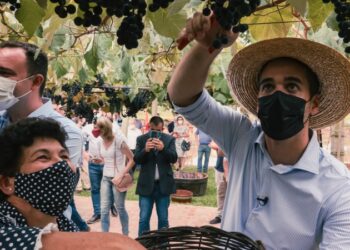 Leite visita obra rodoviária e acompanha a vindima na Serra