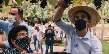 Leite visita obra rodoviária e acompanha a vindima na Serra