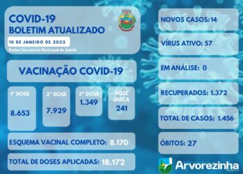 ARVOREZINHA | Boletim Epidemiológico