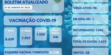 ARVOREZINHA | Boletim Epidemiológico