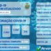 ARVOREZINHA | Boletim Epidemiológico