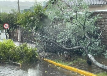 SERAFINA CORRÊA | SCAB atende diversas ocorrências devido ao temporal no município