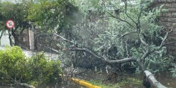 SERAFINA CORRÊA | SCAB atende diversas ocorrências devido ao temporal no município