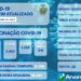 ARVOREZINHA | Boletim Epidemiológico