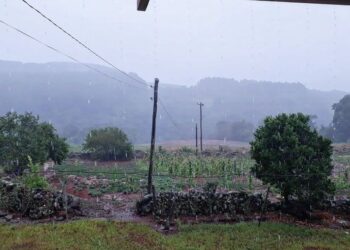 GUAPORÉ | Esperada para combater a estiagem e abrandar o calor, chuva é comemorada