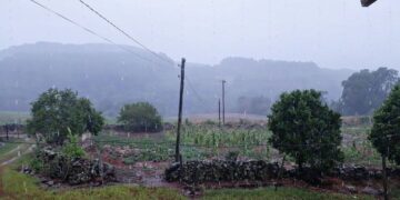 GUAPORÉ | Esperada para combater a estiagem e abrandar o calor, chuva é comemorada