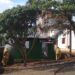 SERAFINA CORRÊA | Incêndio em residência mobiliza bombeiros militares e civis do município