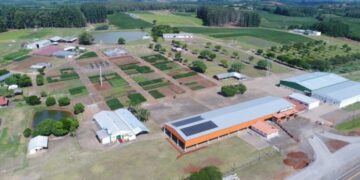 Expoagro Afubra será marcada por quatro dias de feira