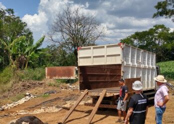 SERAFINA CORRÊA | Projeto de recolhimento de animais mortos já está em execução