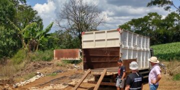 SERAFINA CORRÊA | Projeto de recolhimento de animais mortos já está em execução