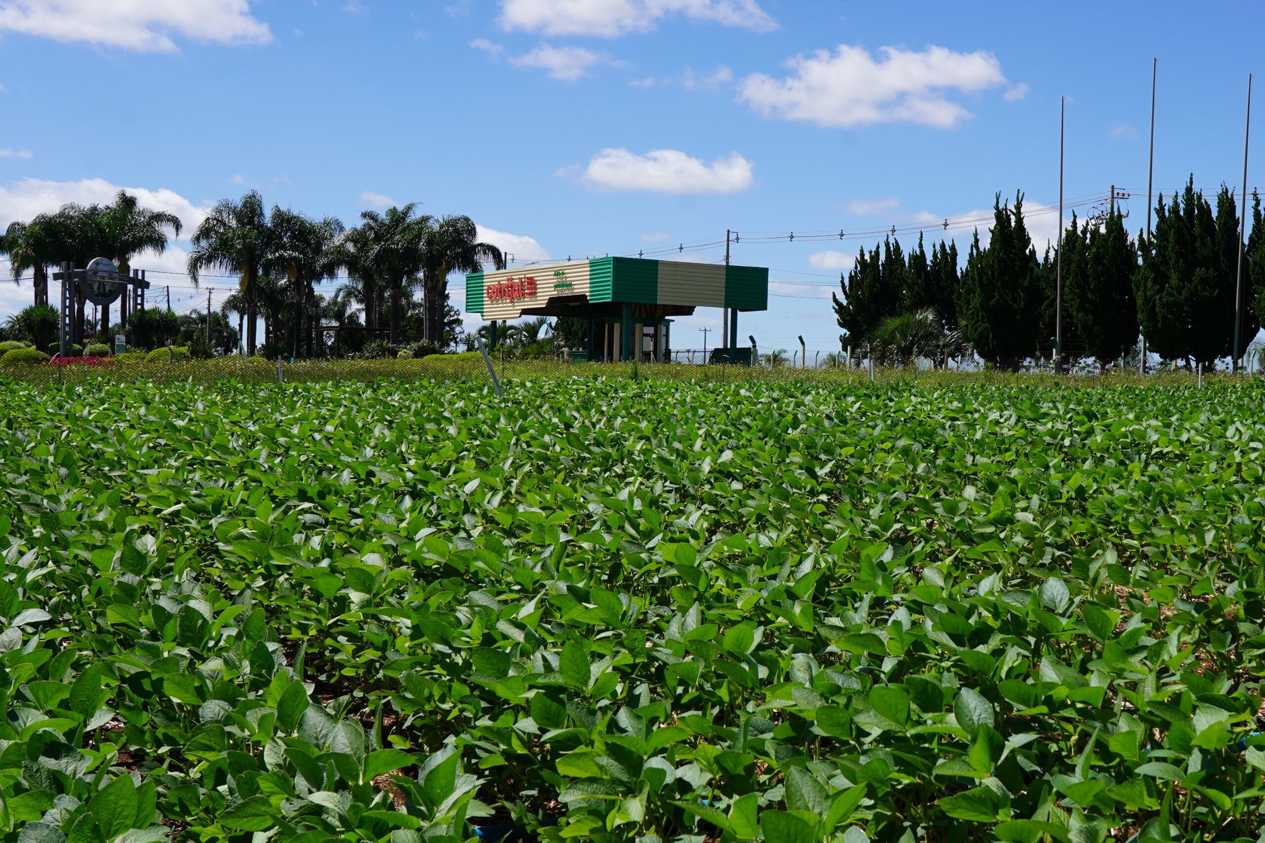 Expodireto Cotrijal: parque da feira já está movimentado