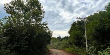 GUAPORÉ | Início dos trabalhos de asfaltamento na Linha Brítola