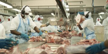Dália registra 14% de aumento na exportação