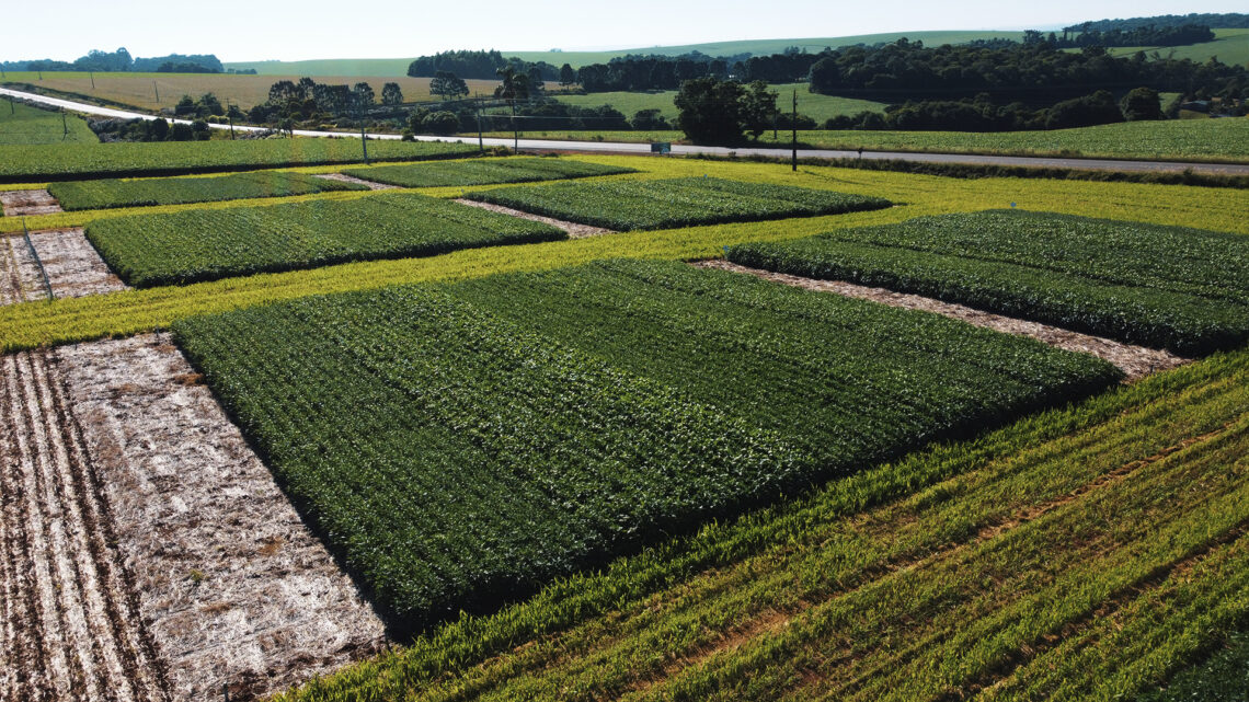 Cotrisoja convida produtores para Dia de Campo voltado à cultura da soja