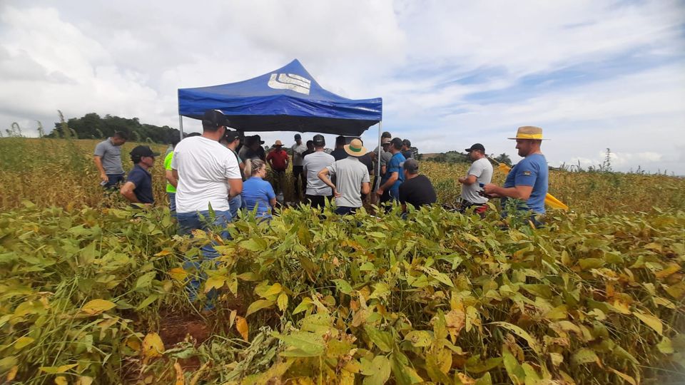 GUAPORÉ | Cerca de 100 agricultores participaram do “Dia de Campo” do Pró-Milho