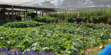 Sucessão Rural pautará ações no Espaço Casa da Emater