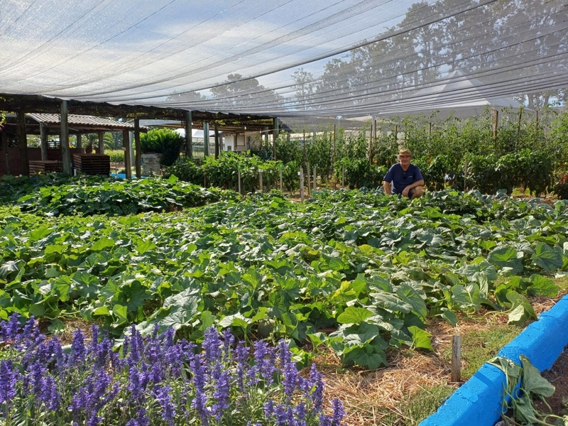 Sucessão Rural pautará ações no Espaço Casa da Emater