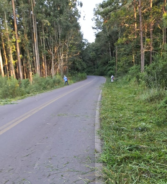PUTINGA | Vereador Cassiano realiza roçada na estrada