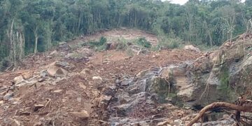 GUAPORÉ | Emater/RS-Ascar contabiliza prejuízos nas propriedades rurais