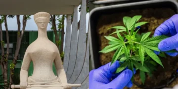 Entenda a decisão do STF sobre descriminalização do porte de maconha