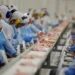 Indústria de alimentos é a que mais emprega no Brasil, diz IBGE