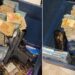 Casal de influenciadores é preso por aplicar golpes de falsas rifas
