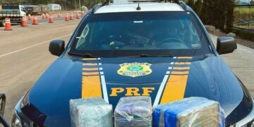 PRF prende jovem com 32 quilos de maconha em ônibus na BR-386.