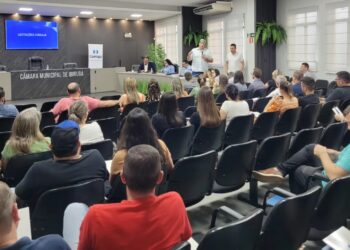 Representantes de Campos Borges participam de reunião do Comaja em Ibirubá