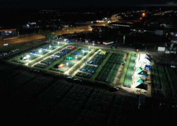 Área vegetal da Cotriel intensifica trabalhos para o produtor