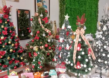 Loja Stocksul preparada para fazer o seu Natal