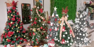 Loja Stocksul preparada para fazer o seu Natal