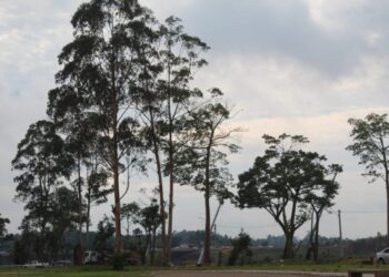 Calor, abafamento e pancadas de chuva para esta segunda