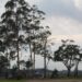 Calor, abafamento e pancadas de chuva para esta segunda