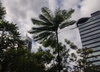 Instabilidade permanece e temperaturas seguem amenas