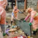IBGE aponta avanço na limpeza urbana, mas lixões seguem ativos no país