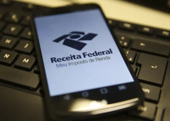 Receita abre consulta a lote da malha fina do Imposto de Renda