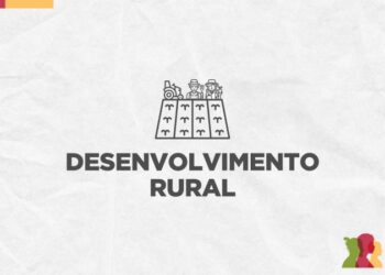 Casa da Ospa e Assembleia recebem últimas feiras da agricultura familiar de 2024 em Porto Alegre