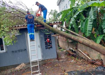 GUAPORÉ | Defesa Civil Municipal e Corpo de Bombeiros Militar contabilizam 15 destelhamentos de residências