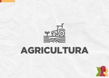Governo prorroga prazo de edital de horas-máquinas para município em emergência