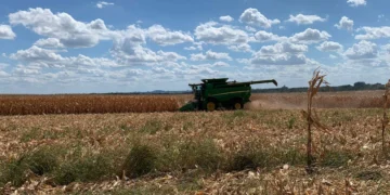 Falta de chuvas no Rio Grande do Sul acende alerta aos produtores