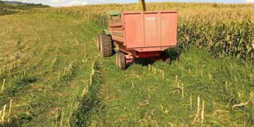 UNIÃO DA SERRA | Secretaria da Agricultura segue atendendo produtores na produção de silagem