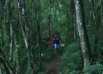 SERAFINA CORRÊA | Bombeiros civis do SCAB atendem acidente em meio a mata de difícil acesso