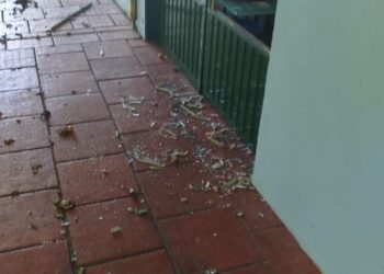 Escola Infantil de Espumoso foi alvo de vandalismo