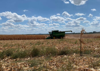 Falta de chuvas no Rio Grande do Sul acende alerta aos produtores