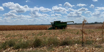 Falta de chuvas no Rio Grande do Sul acende alerta aos produtores