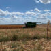 Falta de chuvas no Rio Grande do Sul acende alerta aos produtores