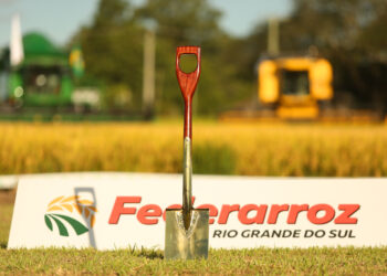 Federarroz reconhece trabalho em prol do setor na tradicional Homenagem da Pá do Arroz