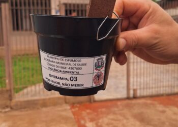 Equipe de endemias alerta para vários focos do mosquito da dengue em Espumoso